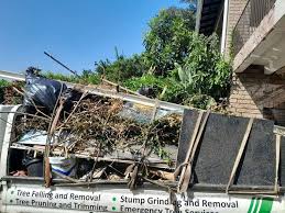 Best Attic Cleanout in Laramie, WY